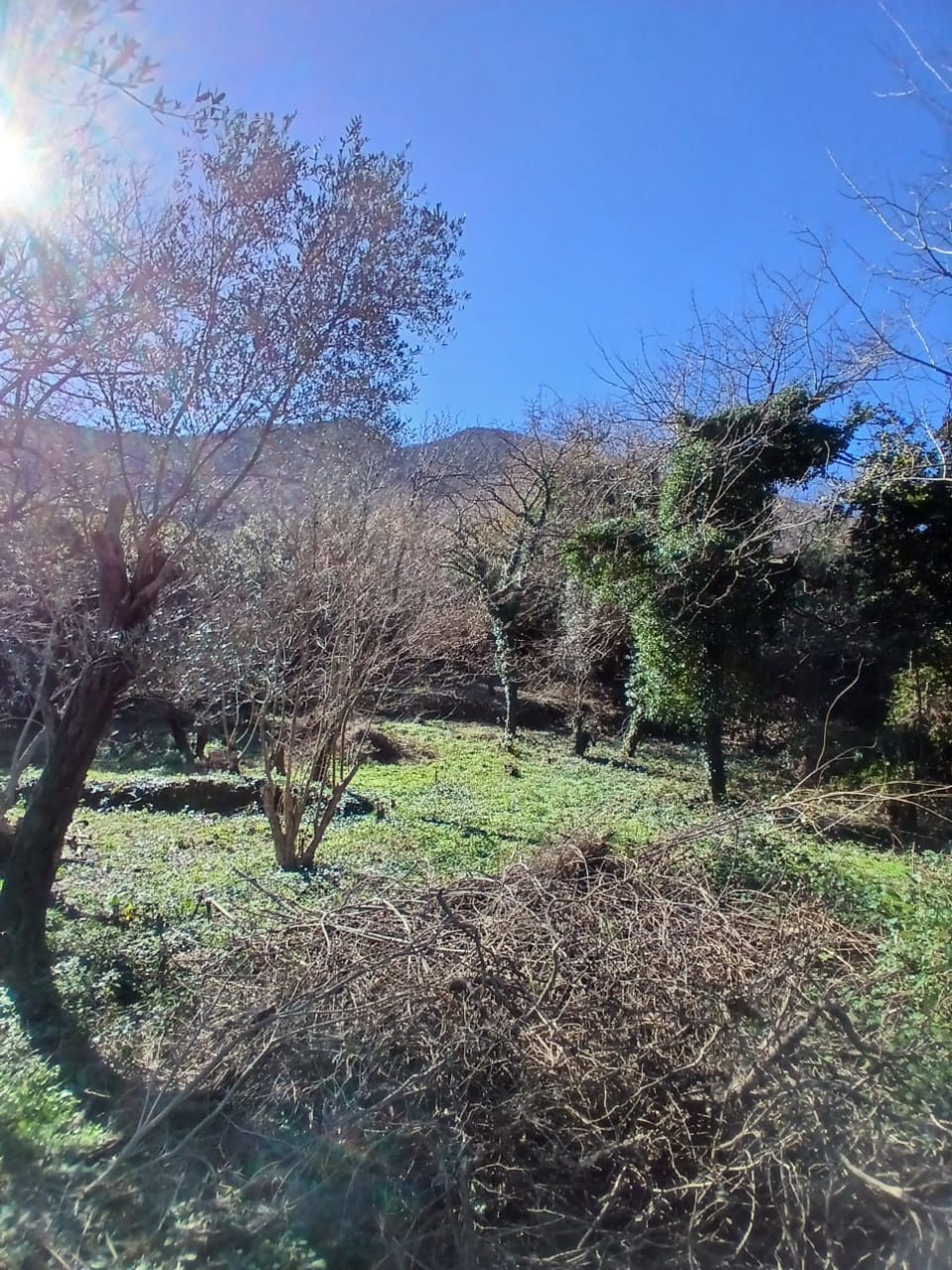 Land for Villa Construction with Sea and Mountain Views 3