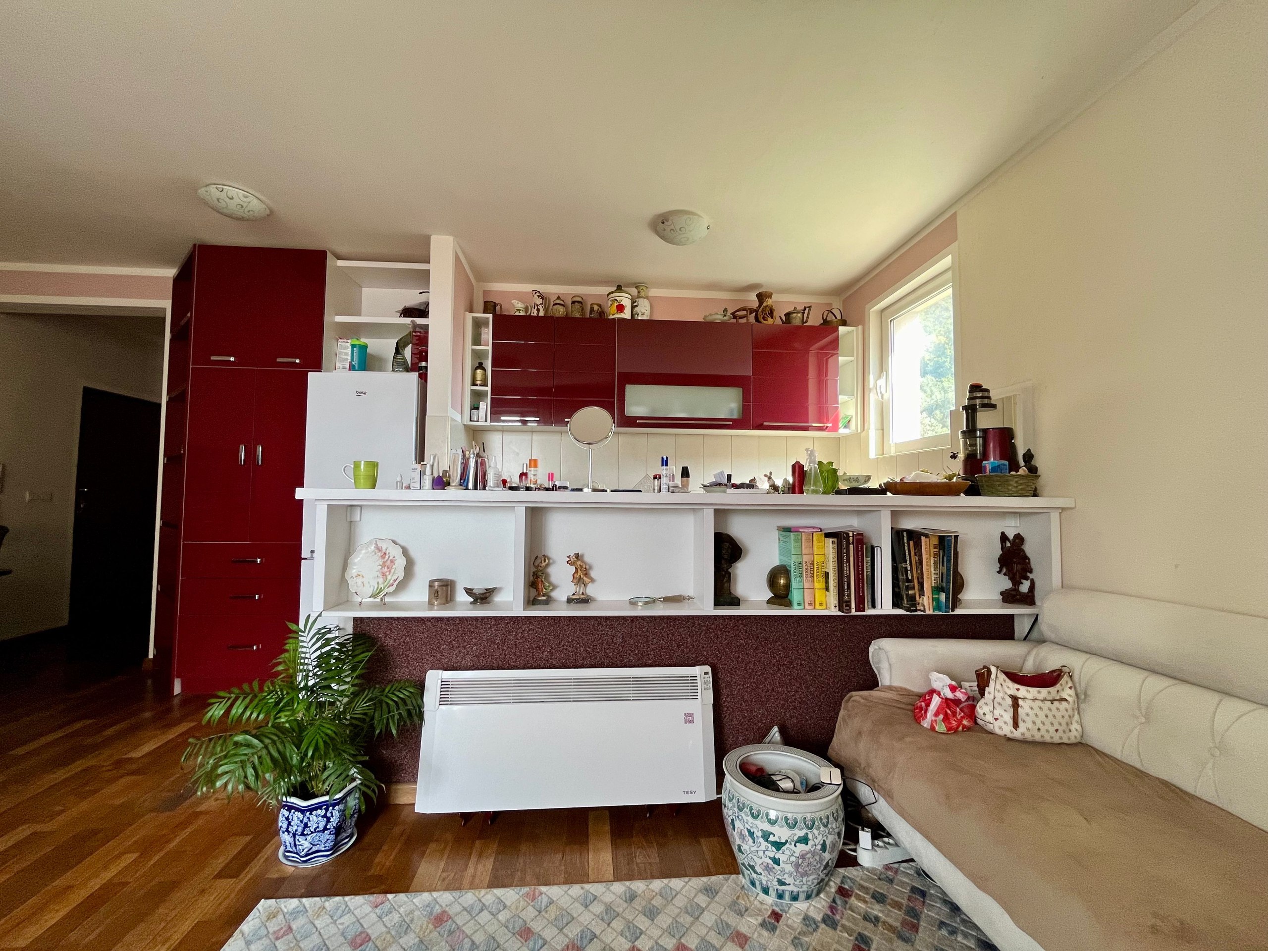 Spacious apartment with sea view in Petrovac 2