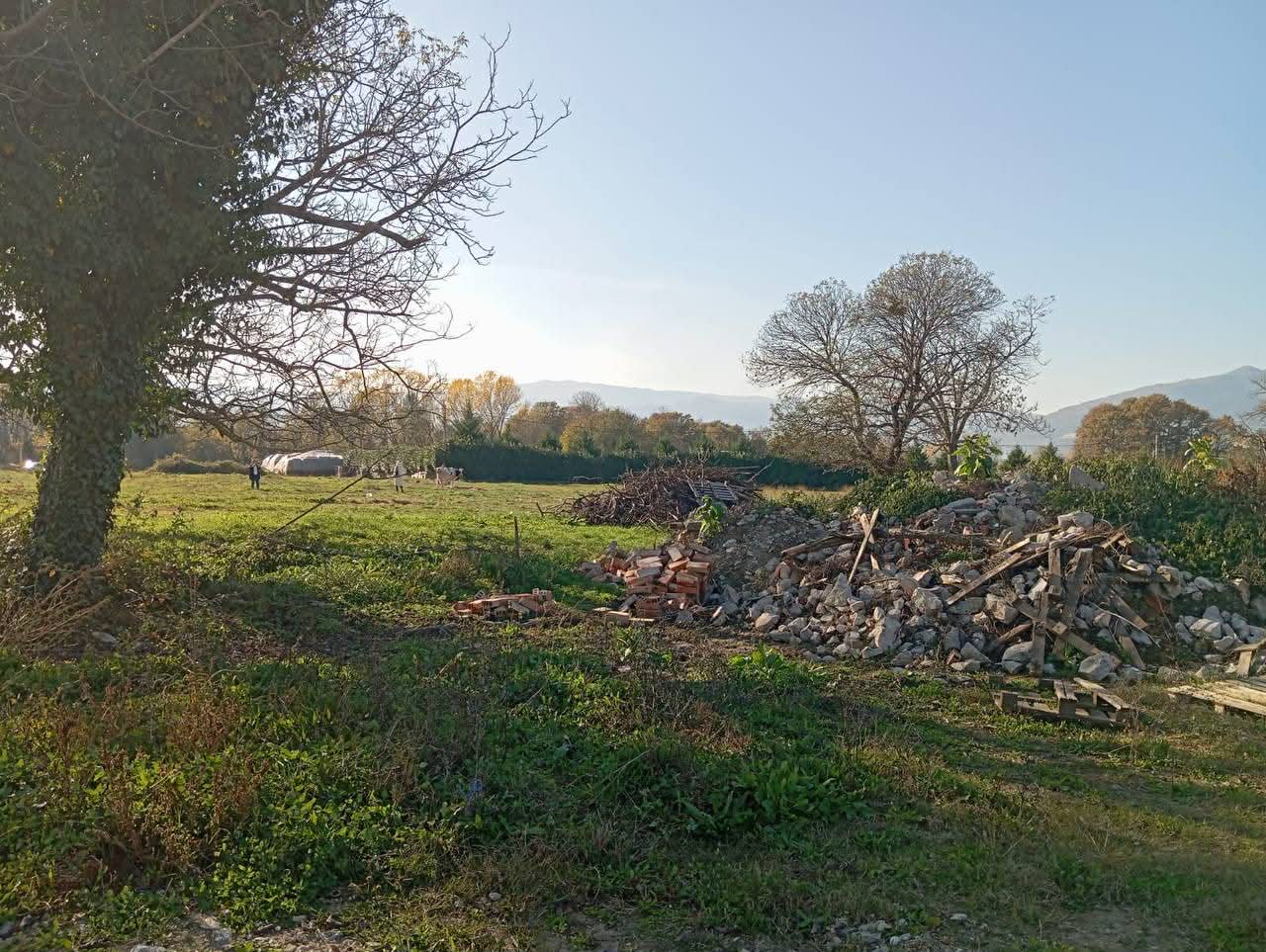 Sale Property in Danilovgrad, Novo Selo 4