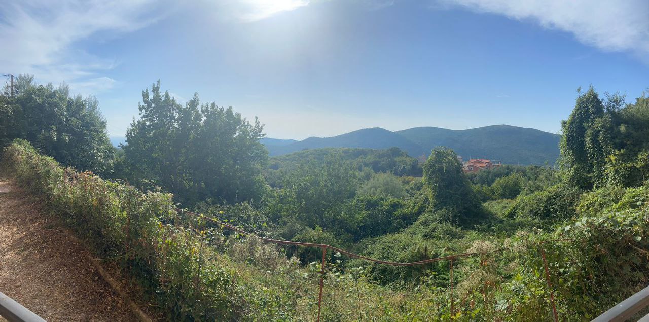 Studio Apartment with Mountain View in Budva (Seoc), Montenegro 8