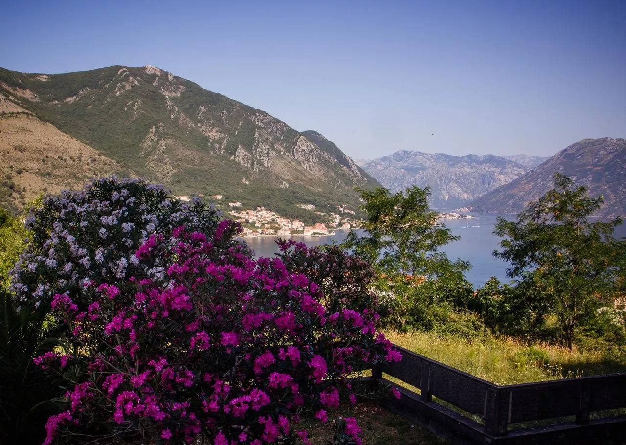 Stylish 1-Bedroom Apartment in Dobrota, Kotor