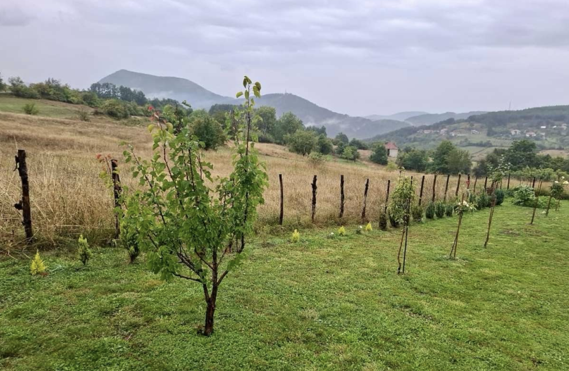 Spacious Detached House in Budimlja, Berane 4