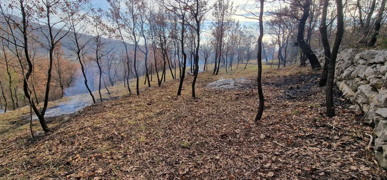 Land for Sale in Donja Vrbica, Kuči - Podgorica, Montenegro 2