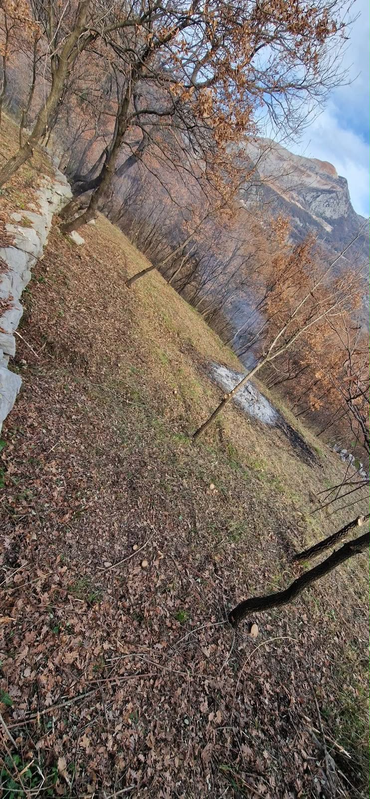 Land for Sale in Donja Vrbica, Kuči - Podgorica, Montenegro 4