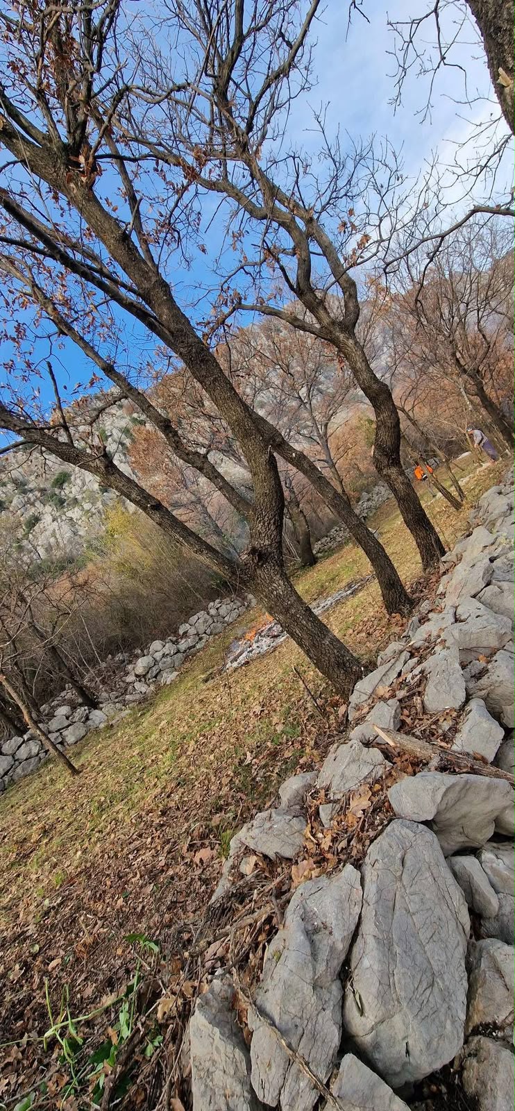 Land for Sale in Donja Vrbica, Kuči - Podgorica, Montenegro 5