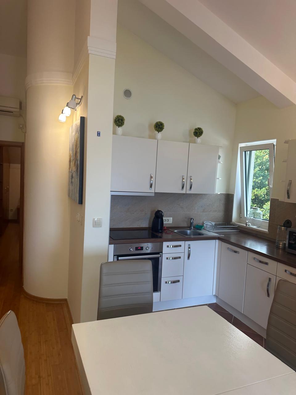 Charming 1-Bedroom Apartment in Djenovici, Montenegro 5