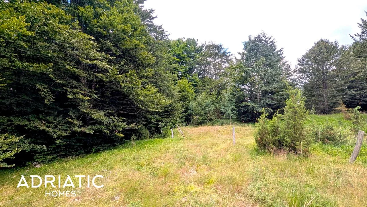 Ready-made plot for investment in Žabljak near Durmitor National Park 7
