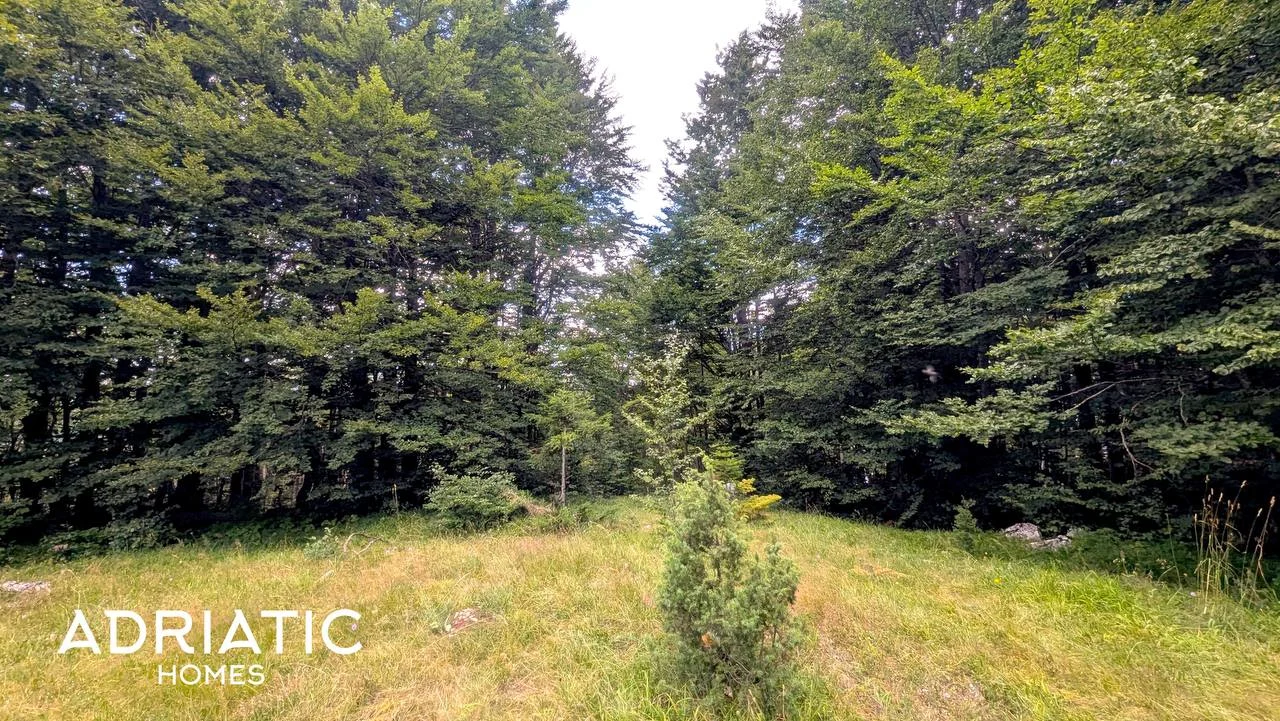 Ready-made plot for investment in Žabljak near Durmitor National Park 8