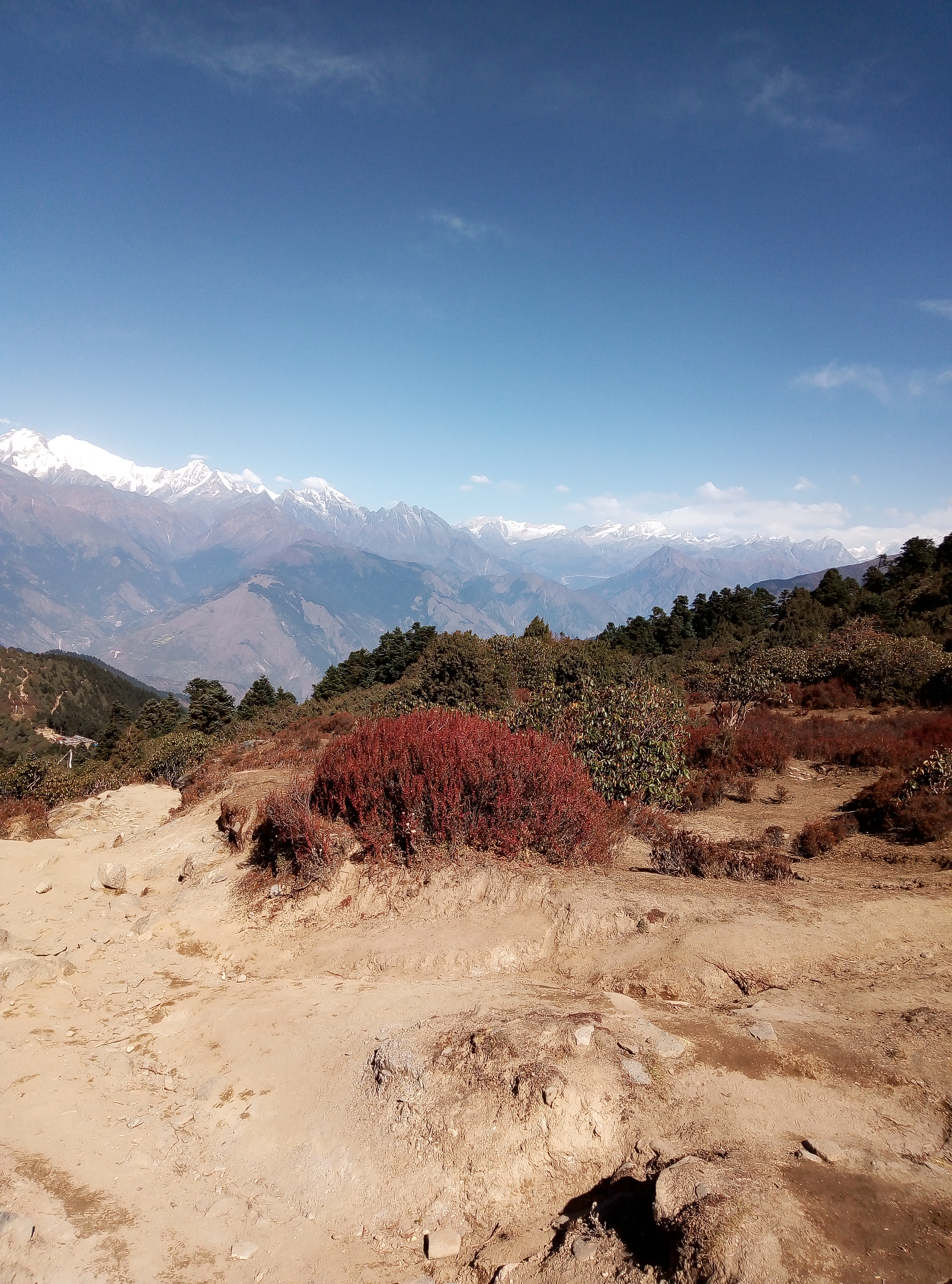 Phulchowki Hiking