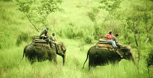 Chitwan Jungle Safari Tour