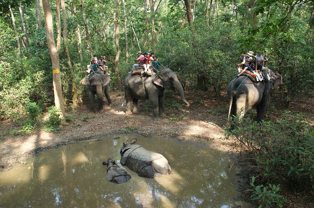 Kathmandu Pokhara Lumbini Chitwan Tours