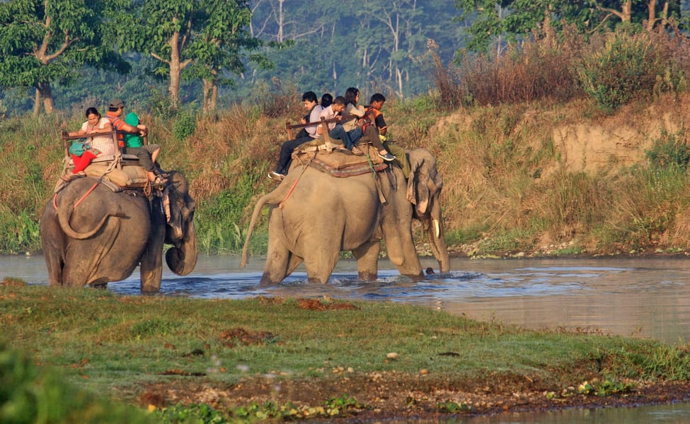 Jungle Safari Tours in Nepal