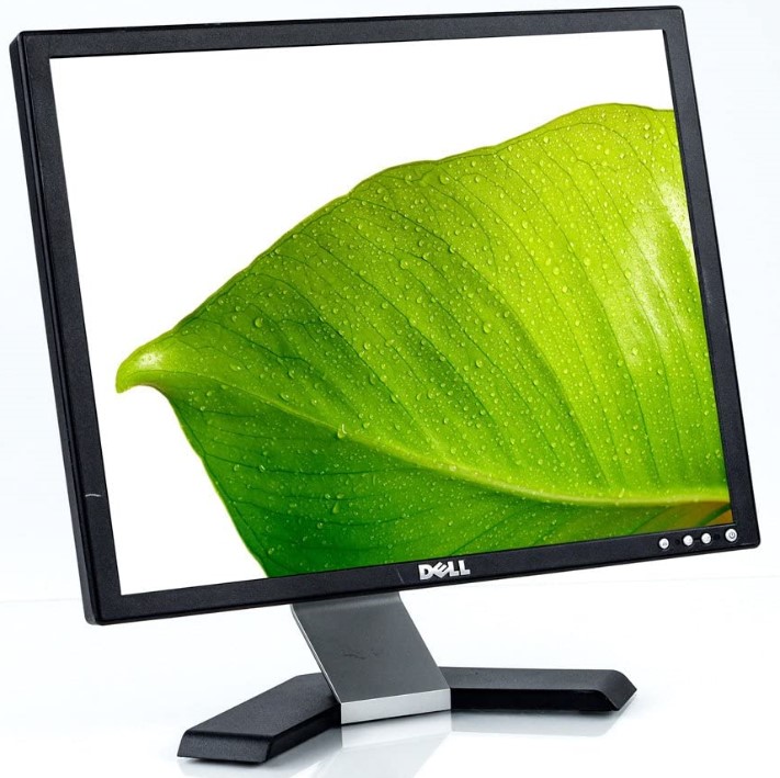 Monitor Dell 19