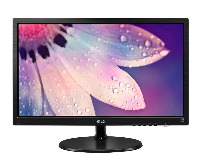 Monitor LG 19