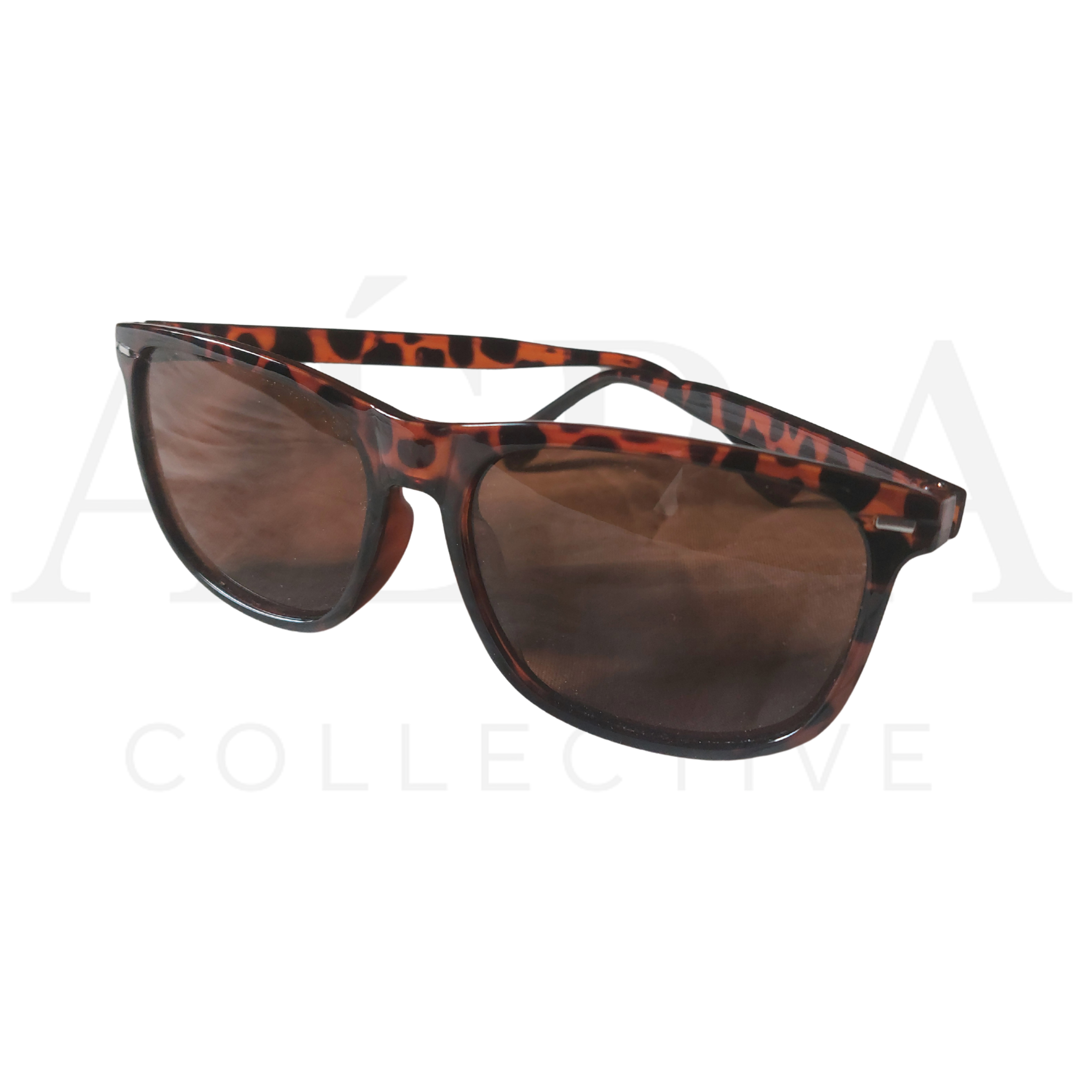 The Ambassador view 1