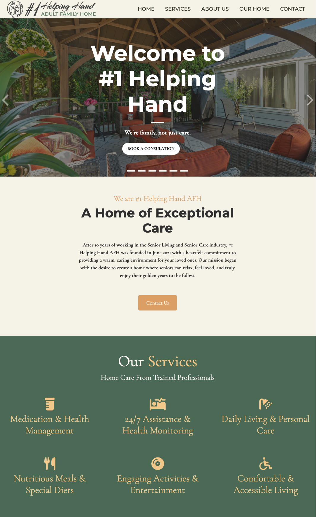 Helping Hand project preview