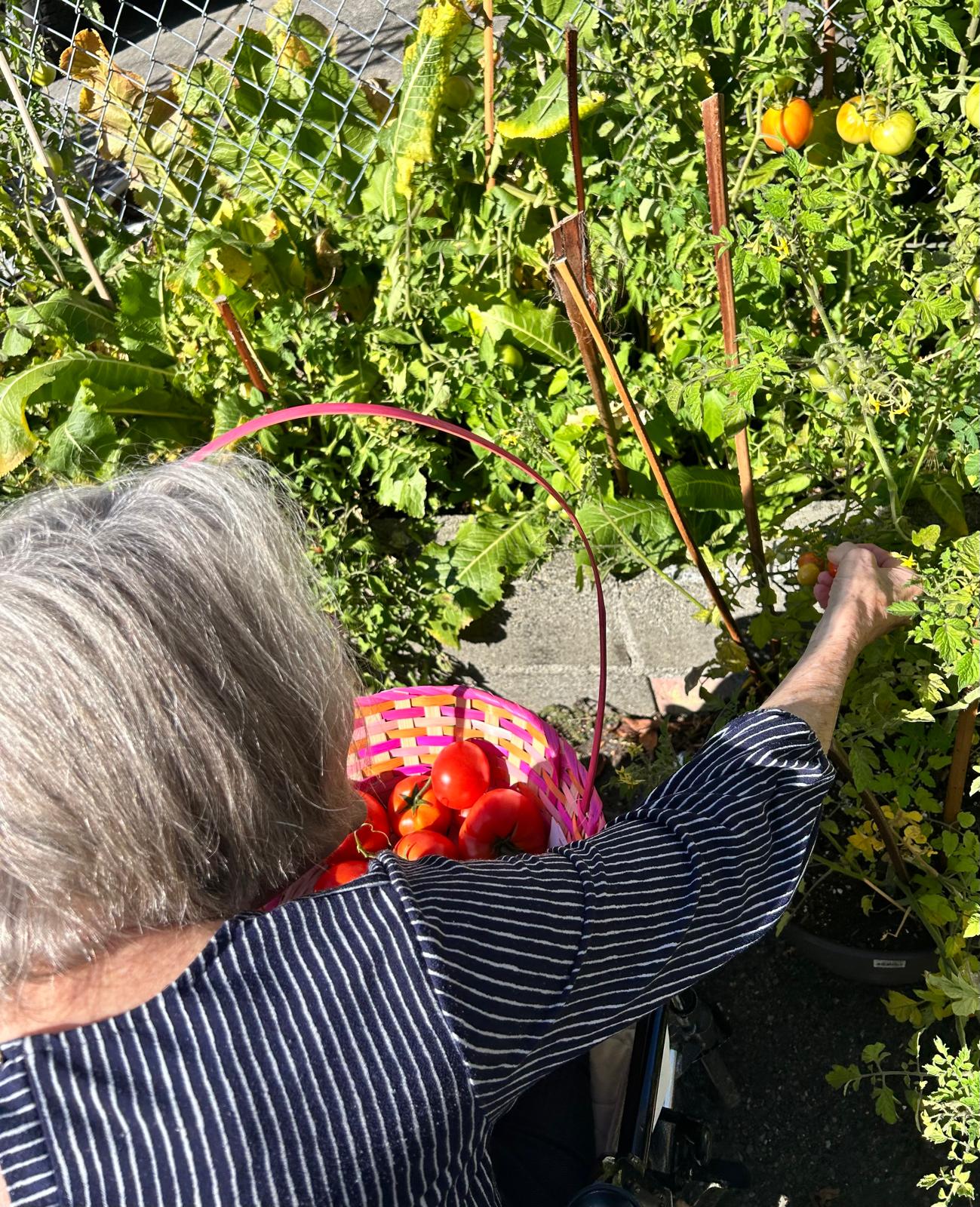 Mountlake Terrace Afh | Why Families Choose Us