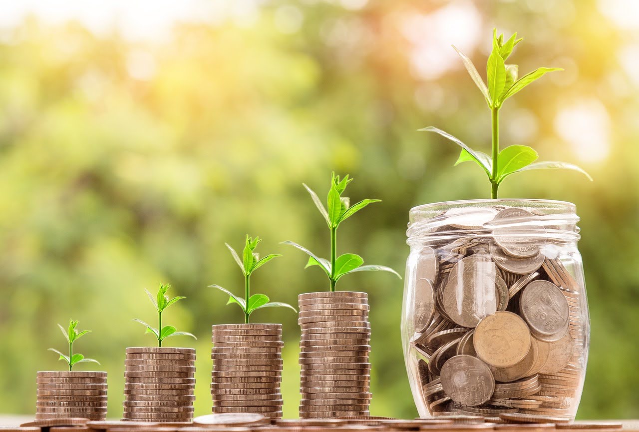 Coins in a jar with a plant growing out of the jar