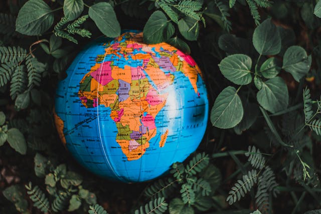 Globe inside green leaves highlighting the African continent. Photo by Nothing Ahead on pexels.com.