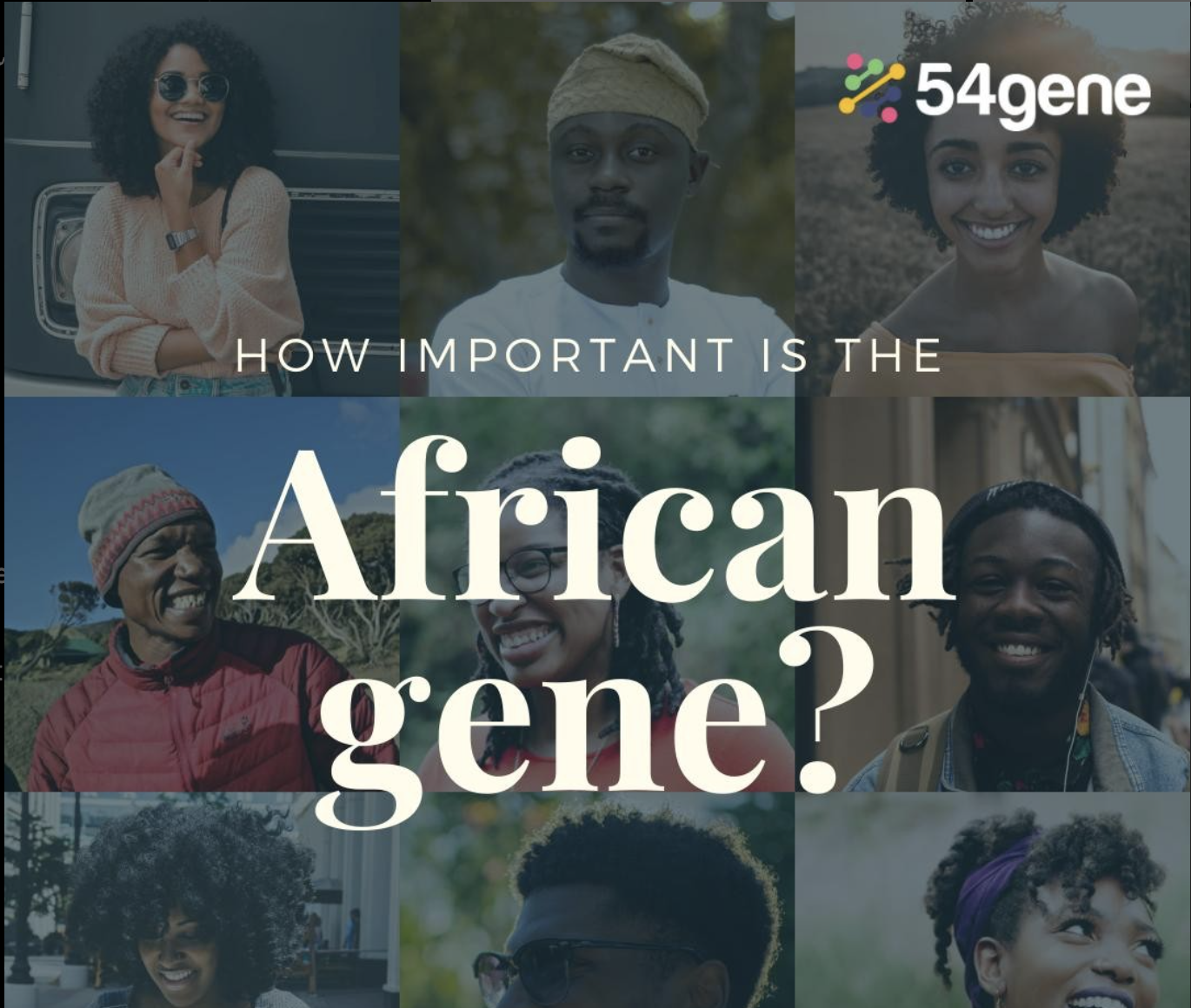 Poster with text "How important is the African gene?"