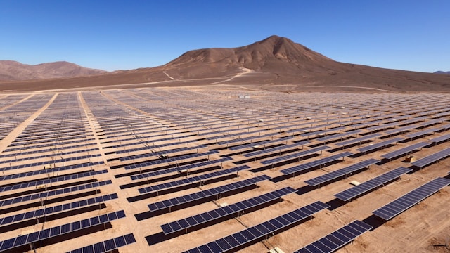 Landscape photo of blue solar panels. Photo by Antonio Garcia.