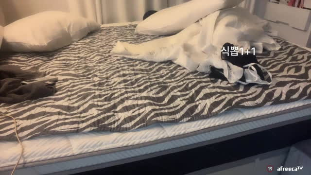 오늘만 의첸 1000 수녀복대기중