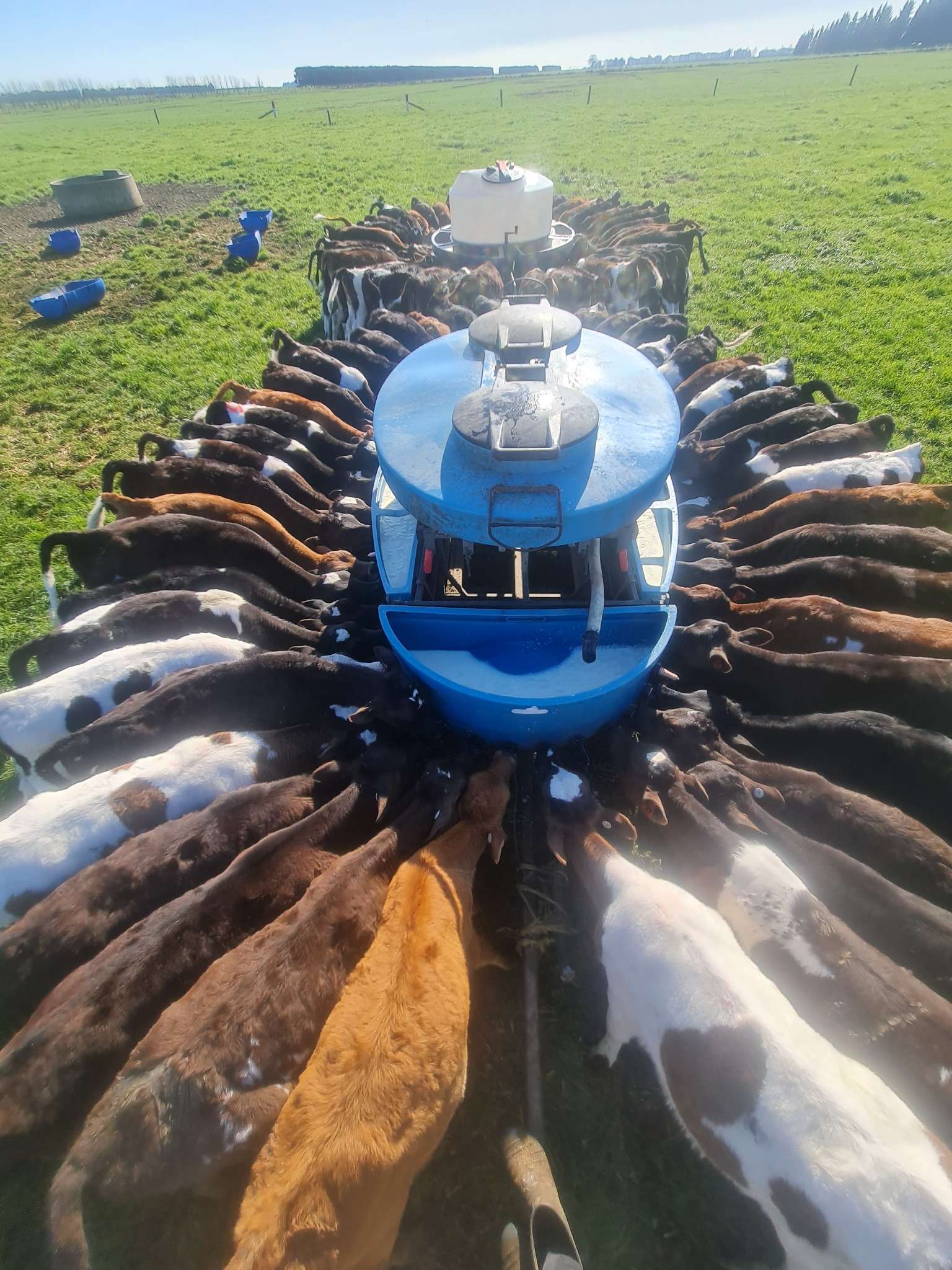 Ag Assist - Anita Manuel