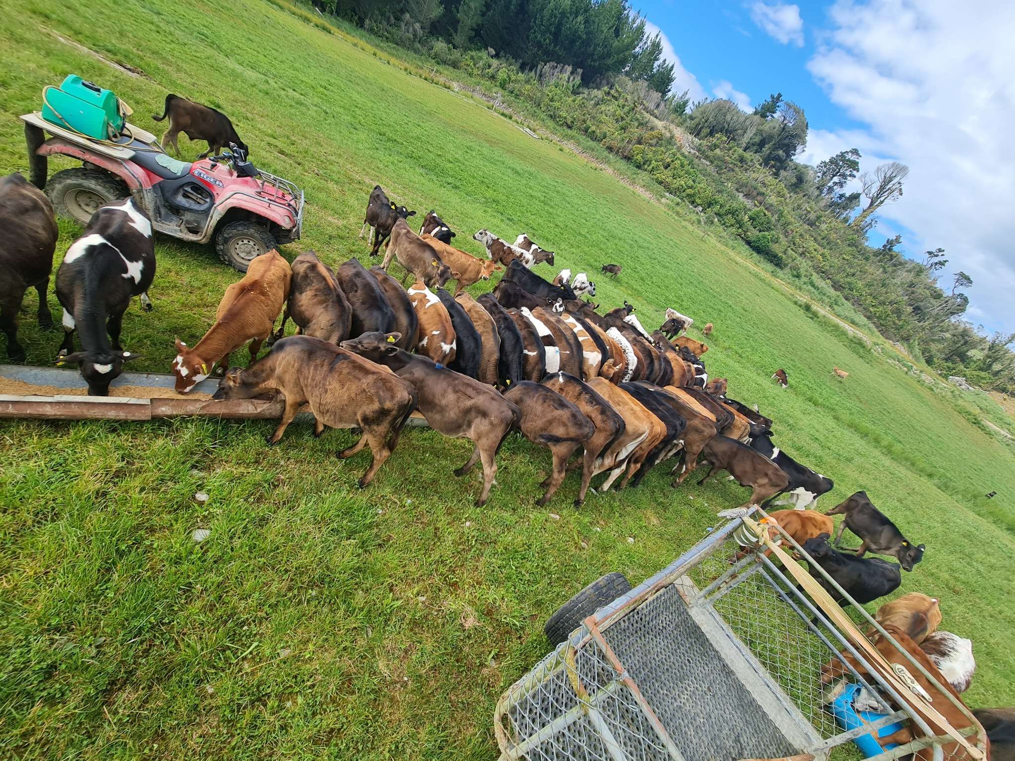 Ag Assist - Anita Manuel