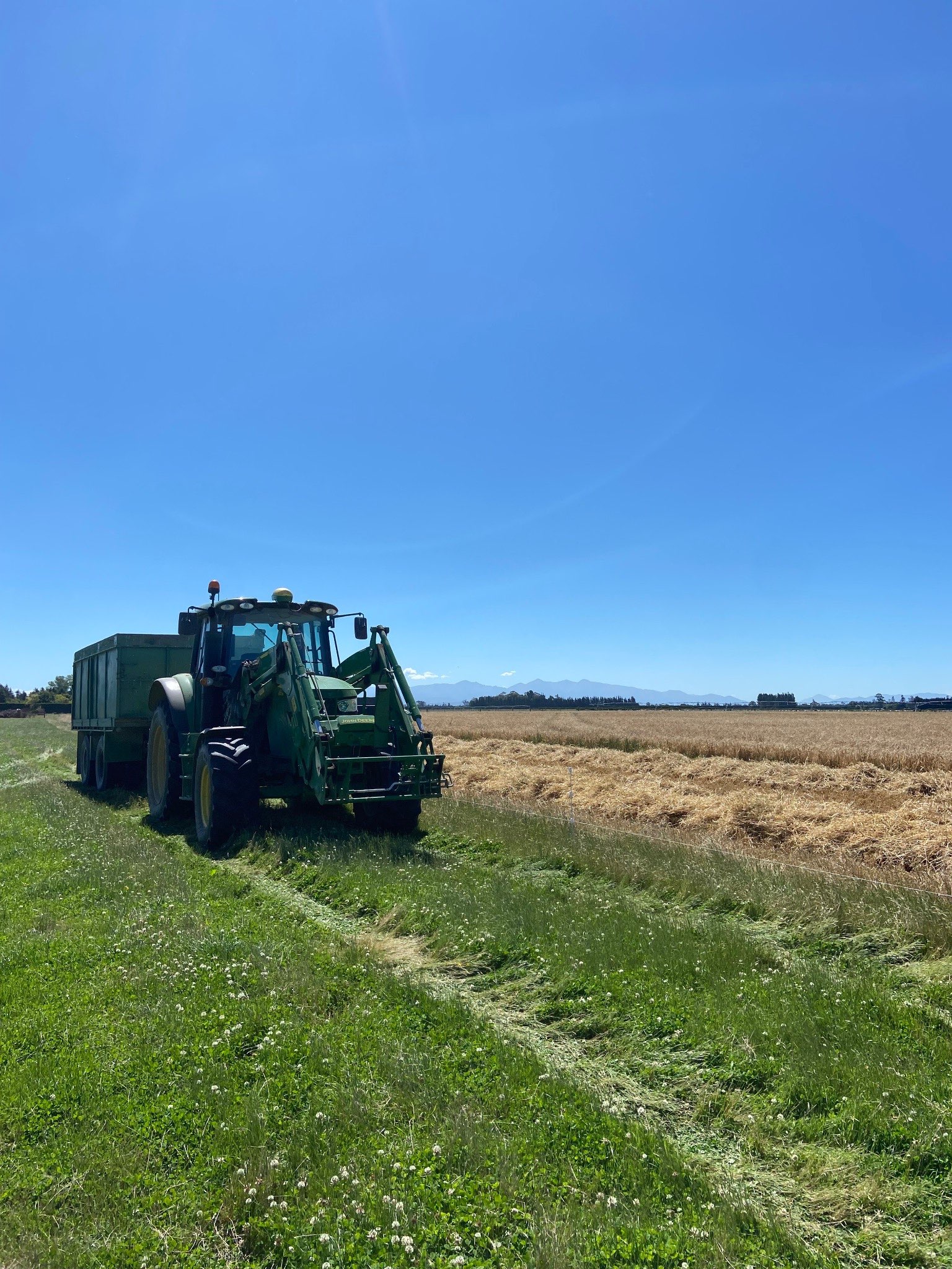 Ag Assist - Ella Casey