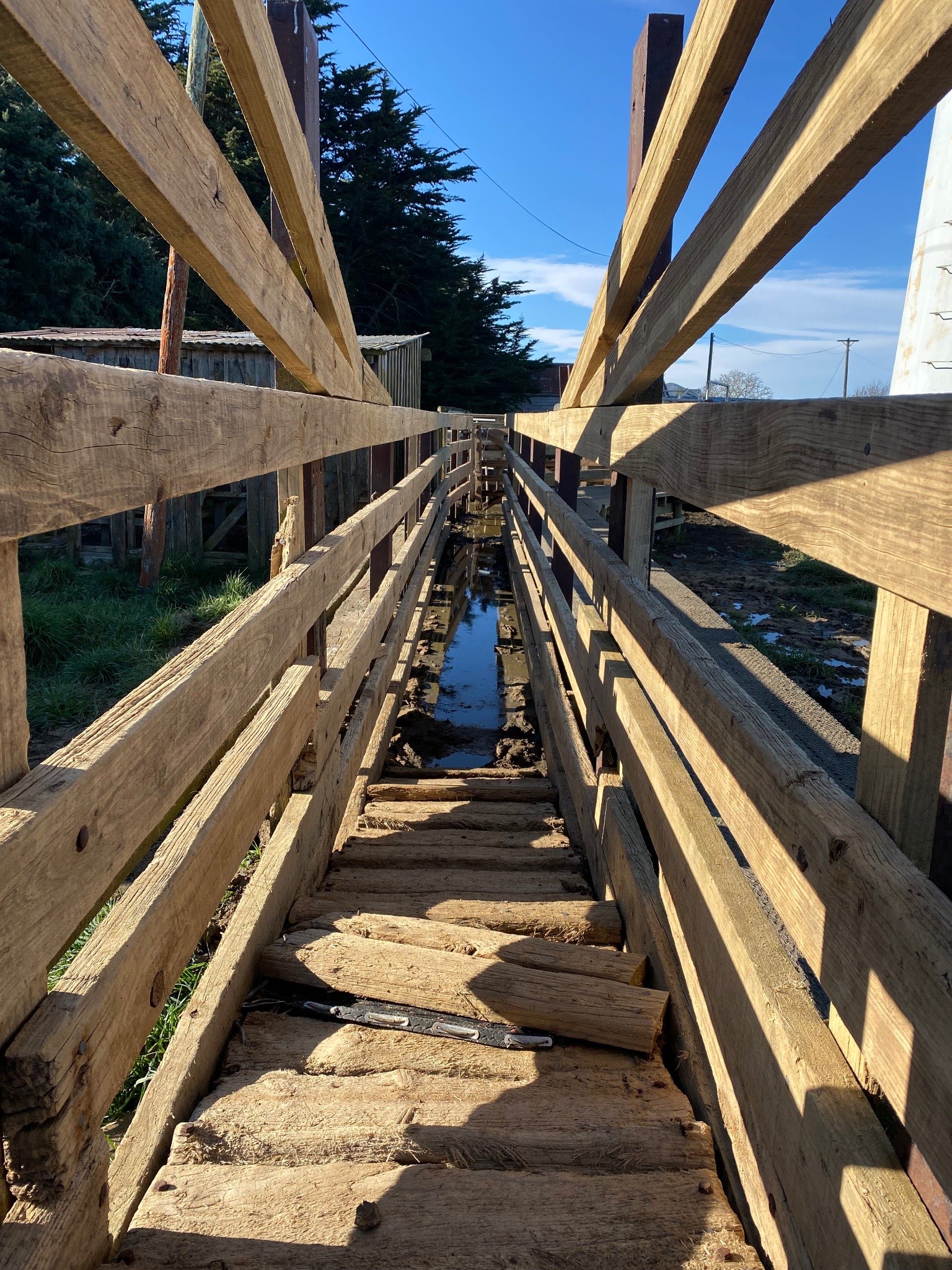 Ag Assist - Rural Water Services