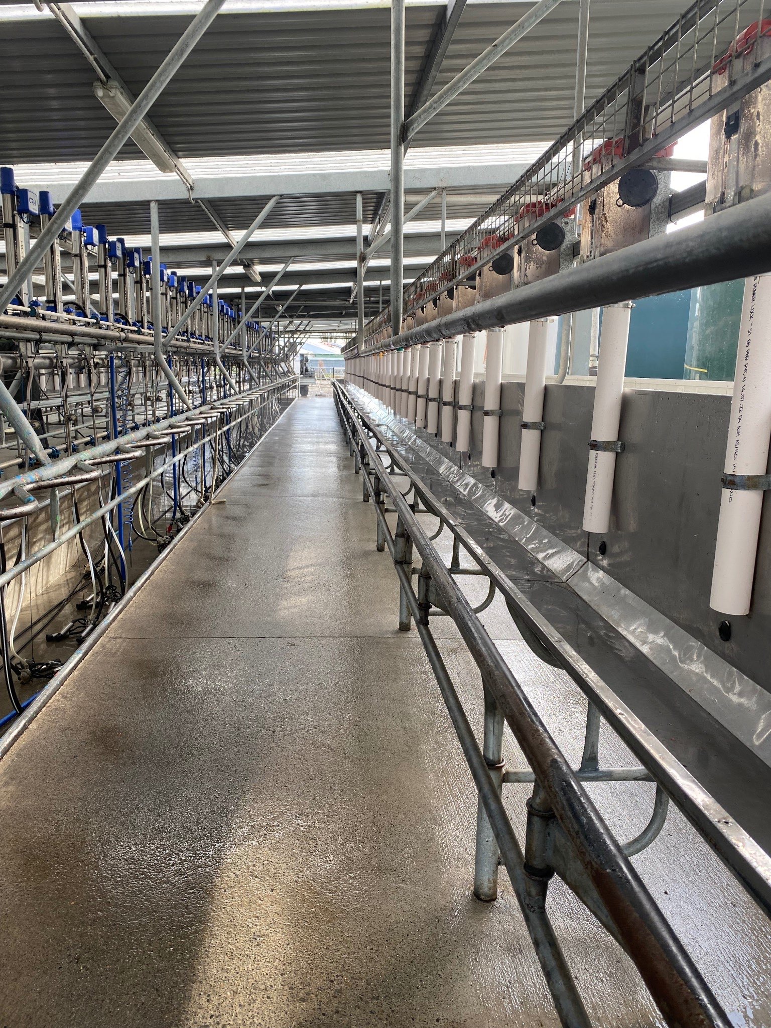 Ag Assist - Rural Water Services