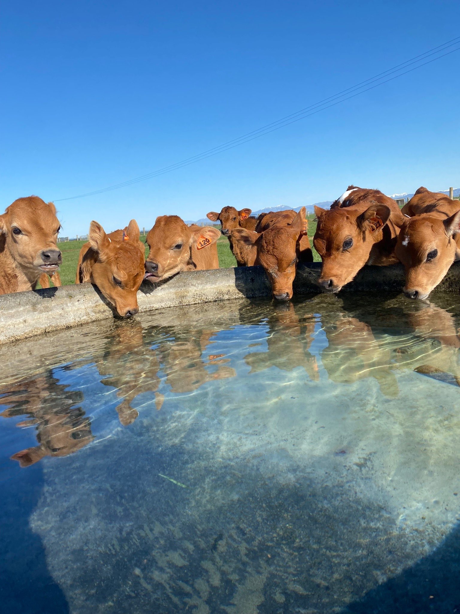 Ag Assist - Rural Water Services