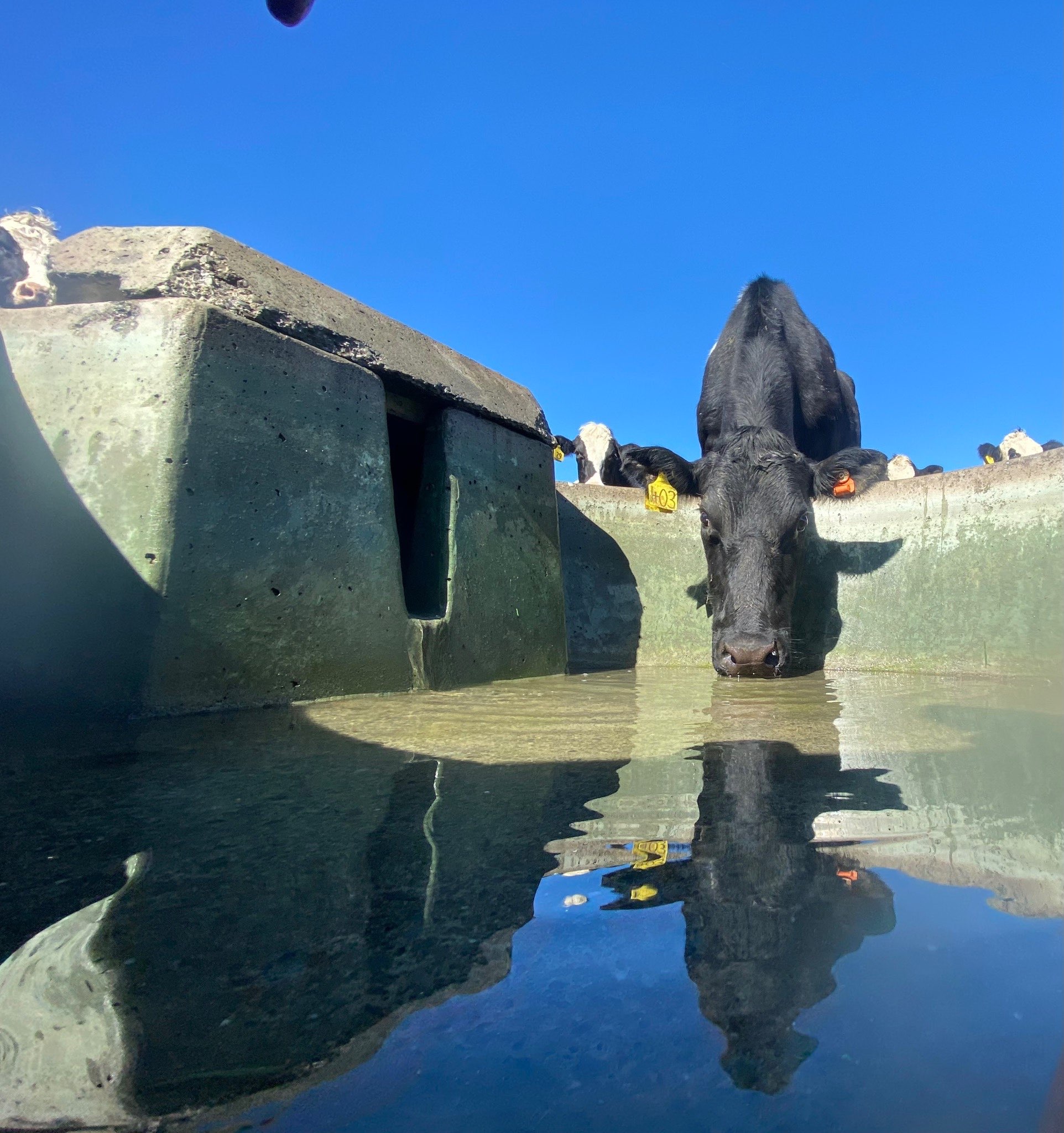 Ag Assist - Rural Water Services