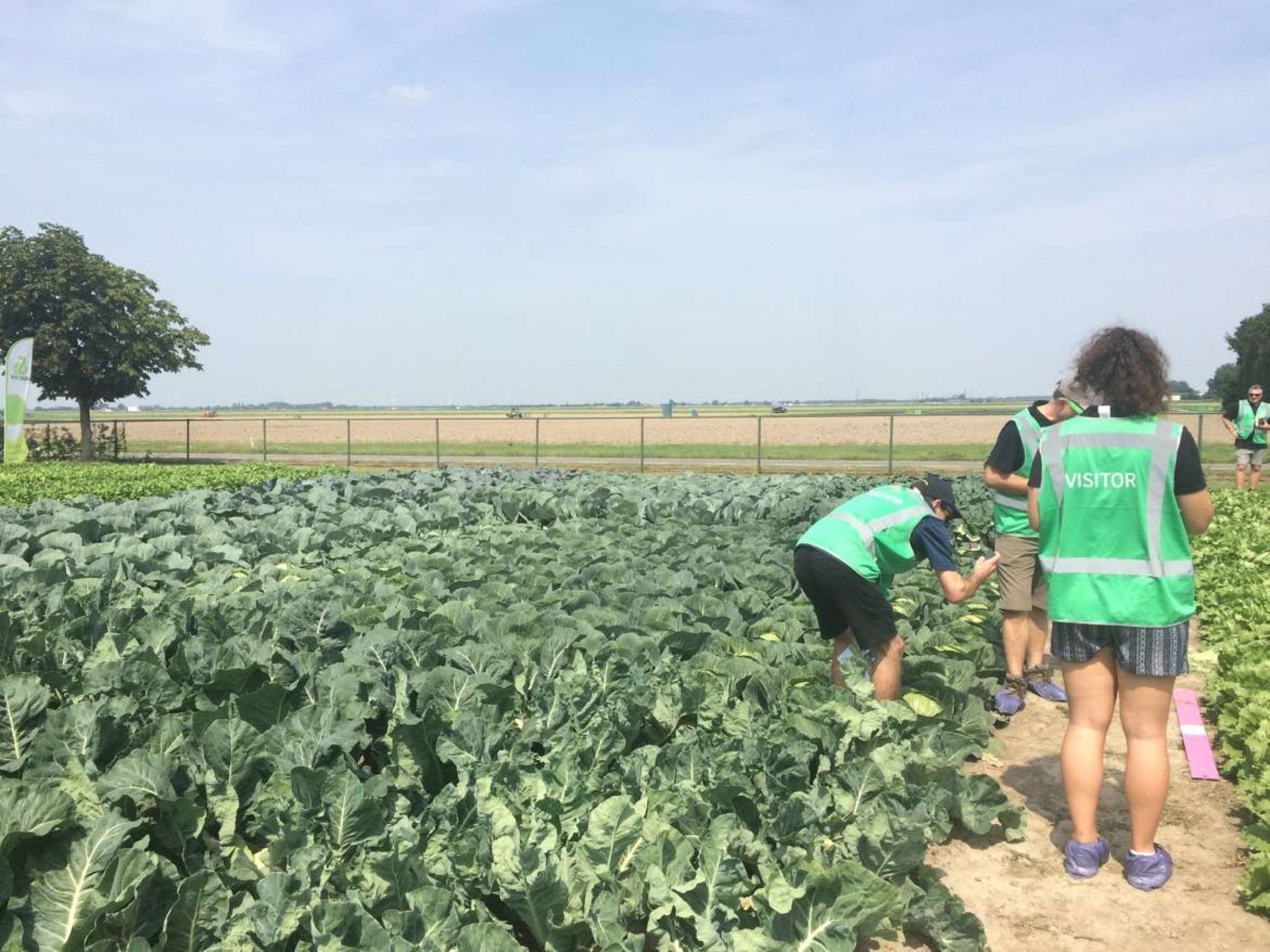 Ag Assist - Brooke Maddison