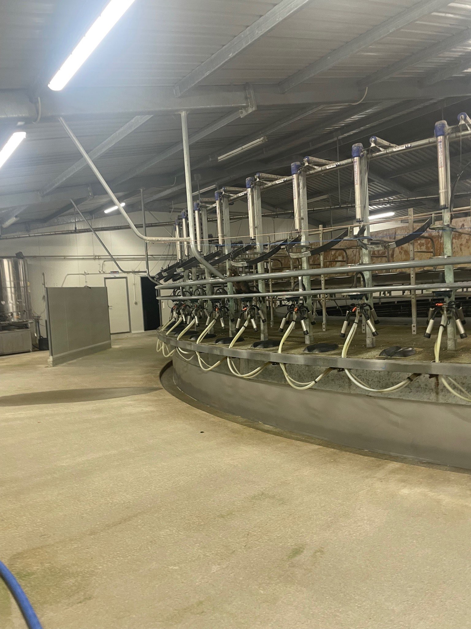 Ag Assist - Tabitha Stringer