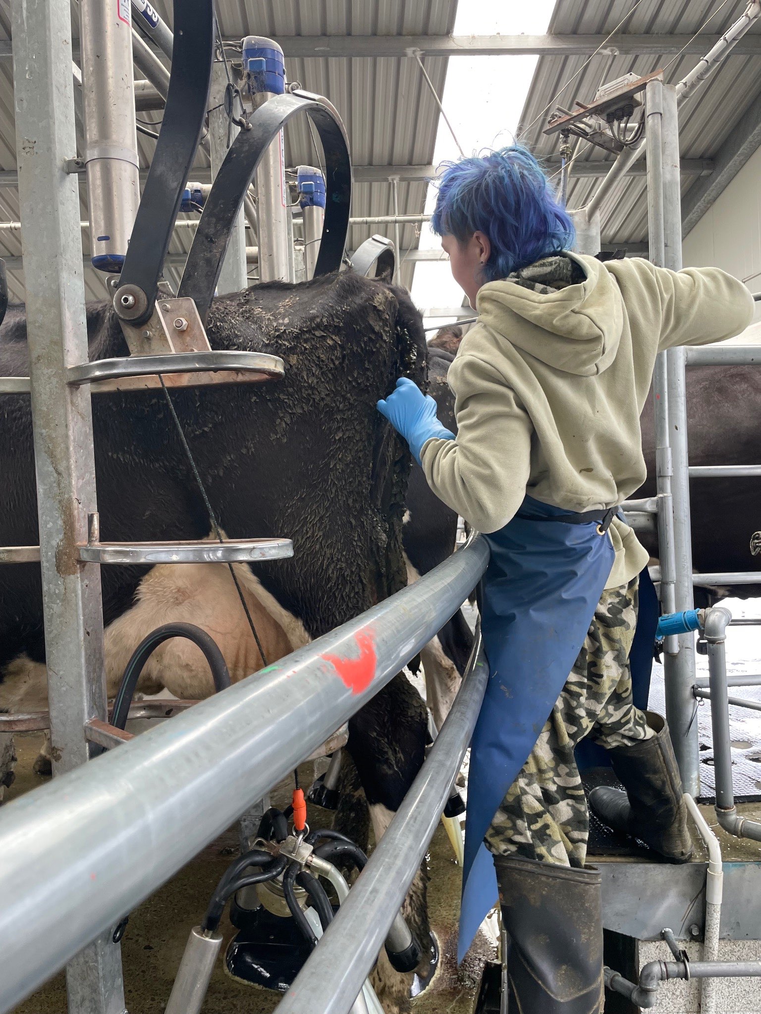 Ag Assist - Tabitha Stringer