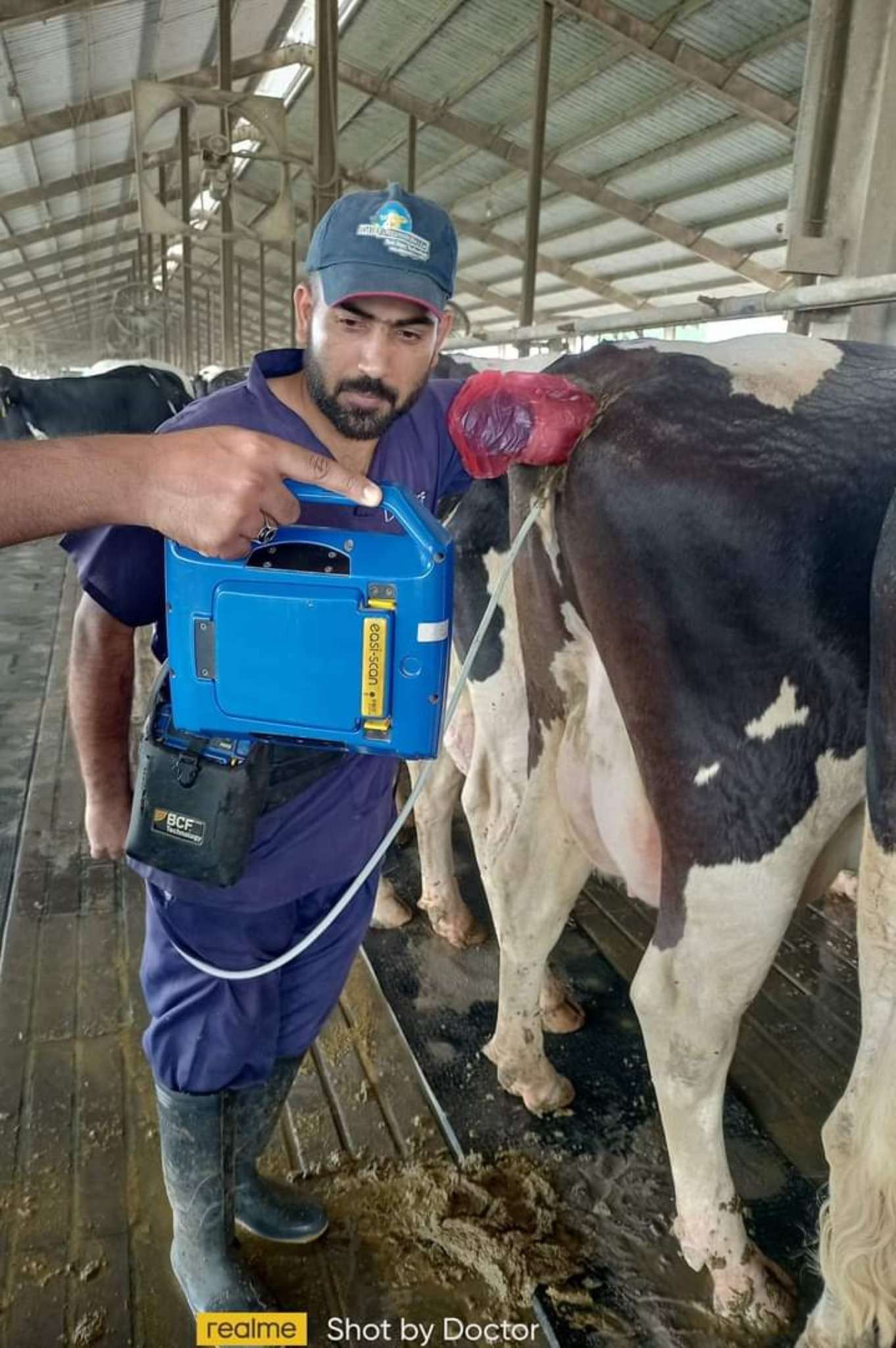 Ag Assist - Tauseef Ahmad