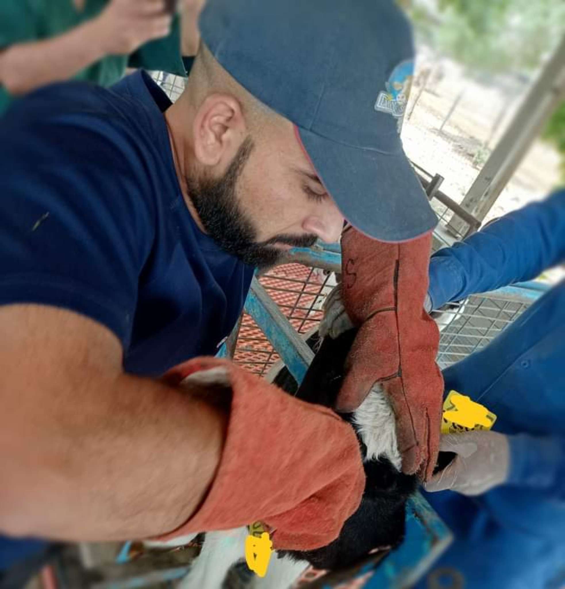 Ag Assist - Tauseef Ahmad