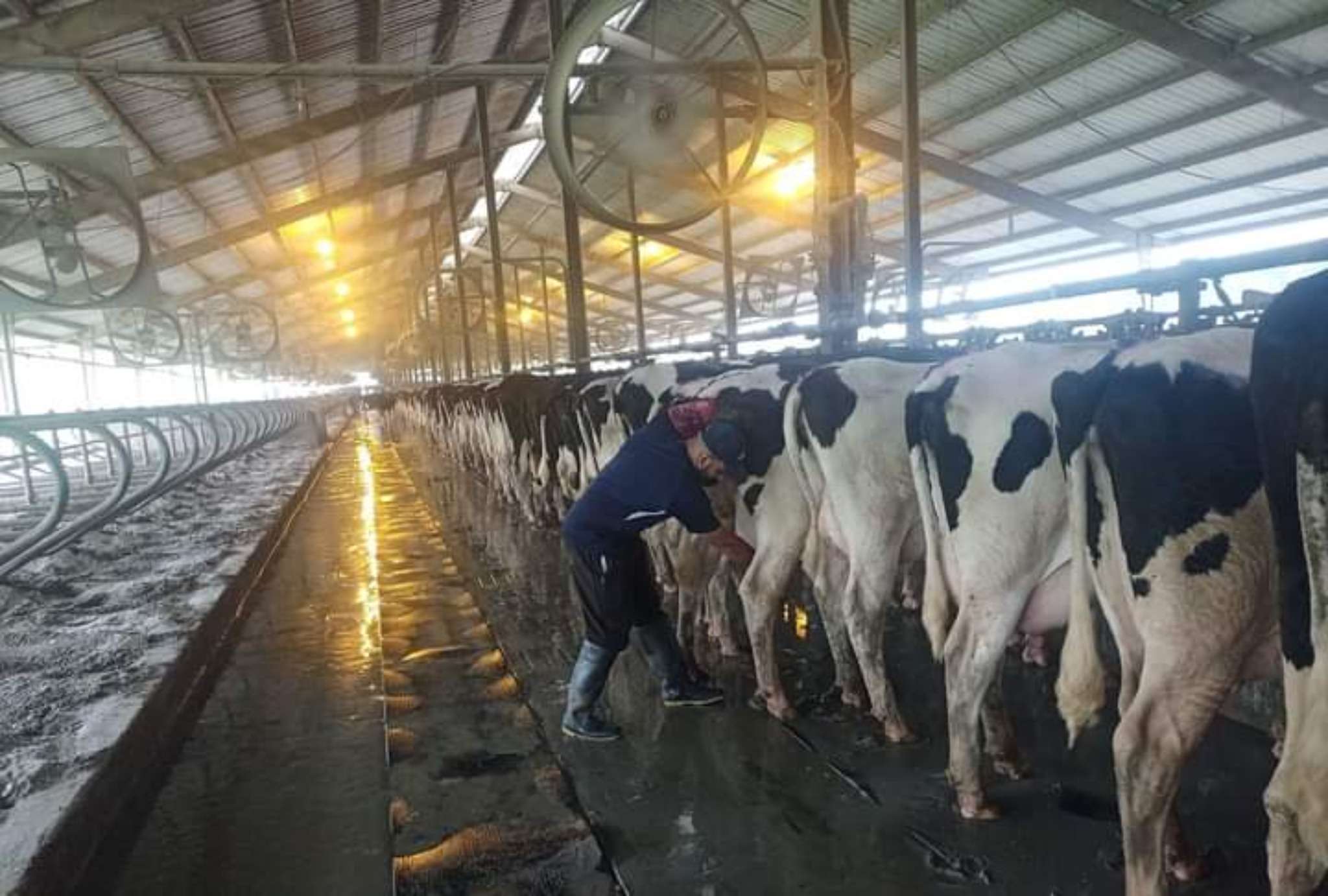 Ag Assist - Tauseef Ahmad