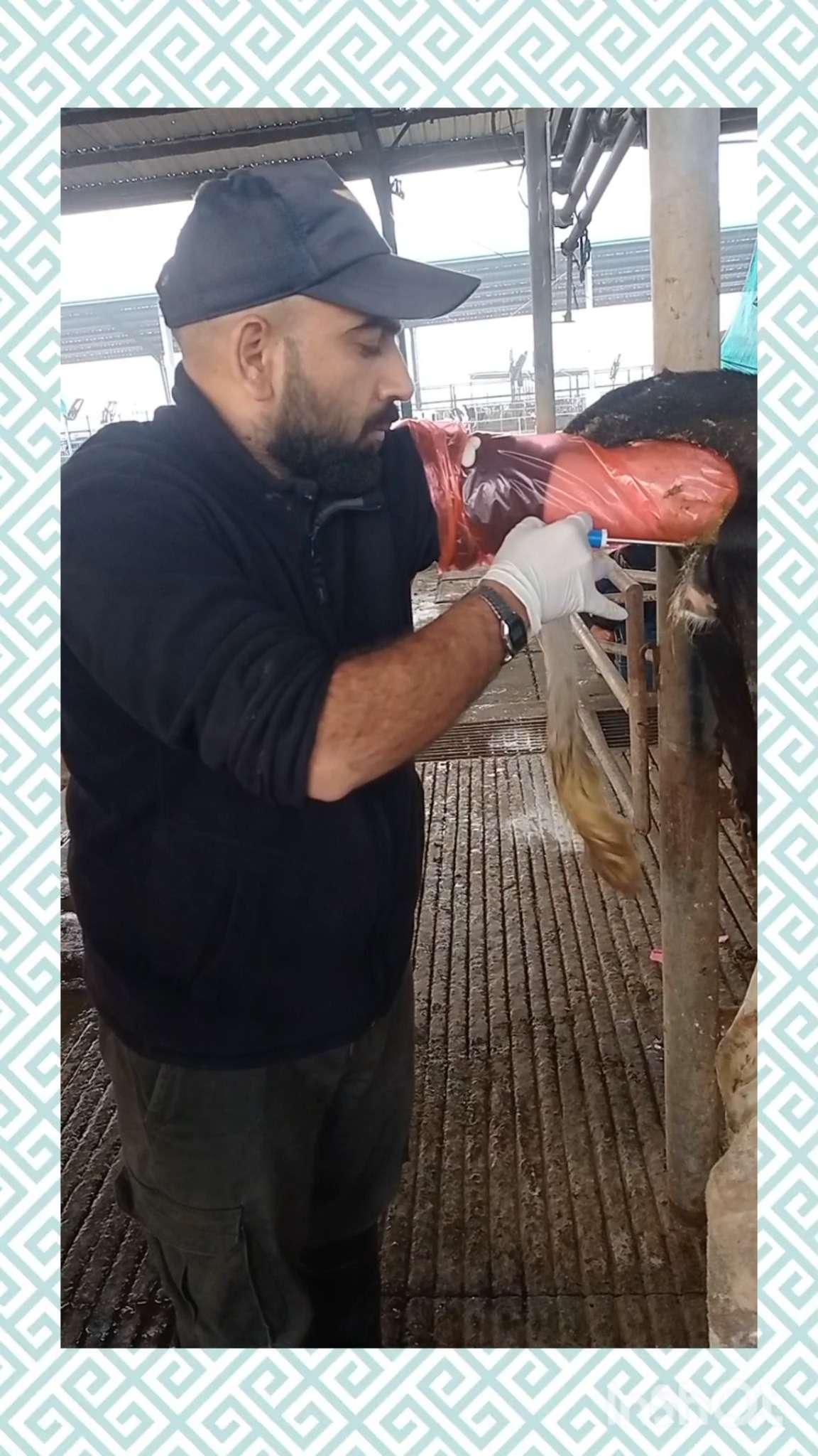 Ag Assist - Tauseef Ahmad