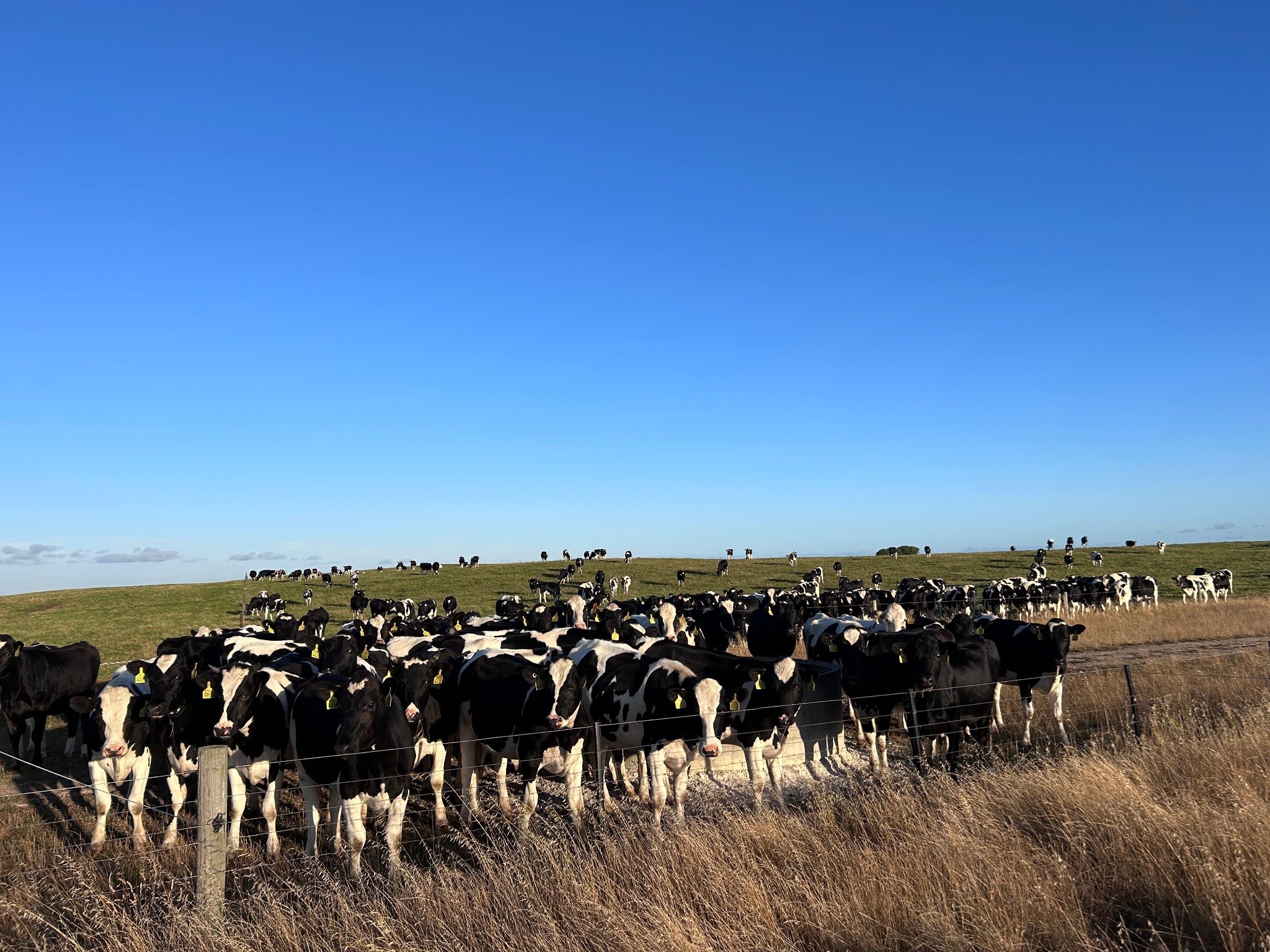 Ag Assist - Elijah Firth