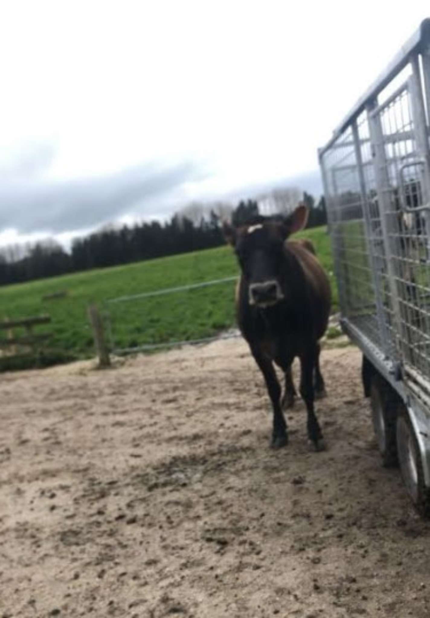 Ag Assist - Timothy Ozanne