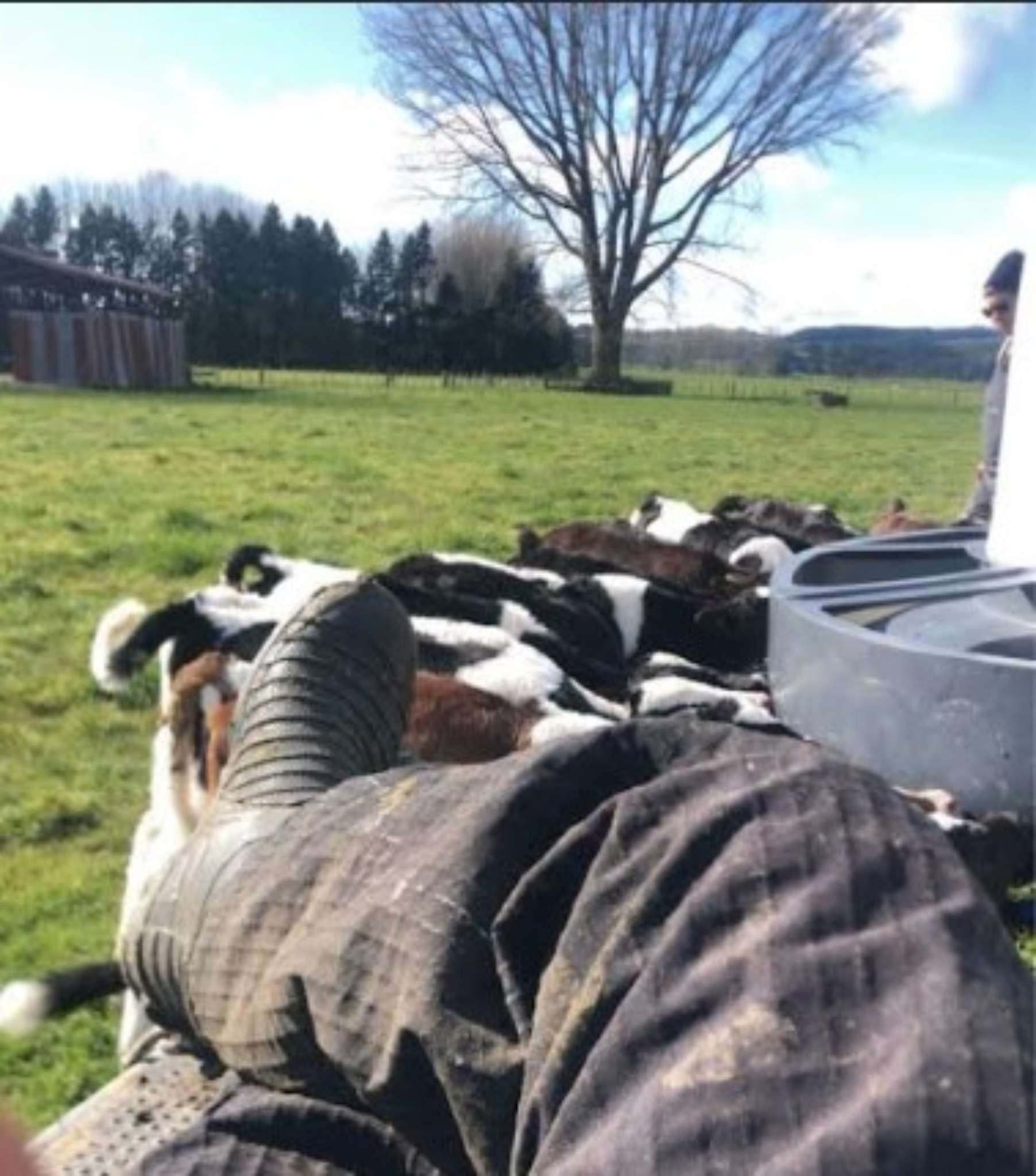 Ag Assist - Timothy Ozanne