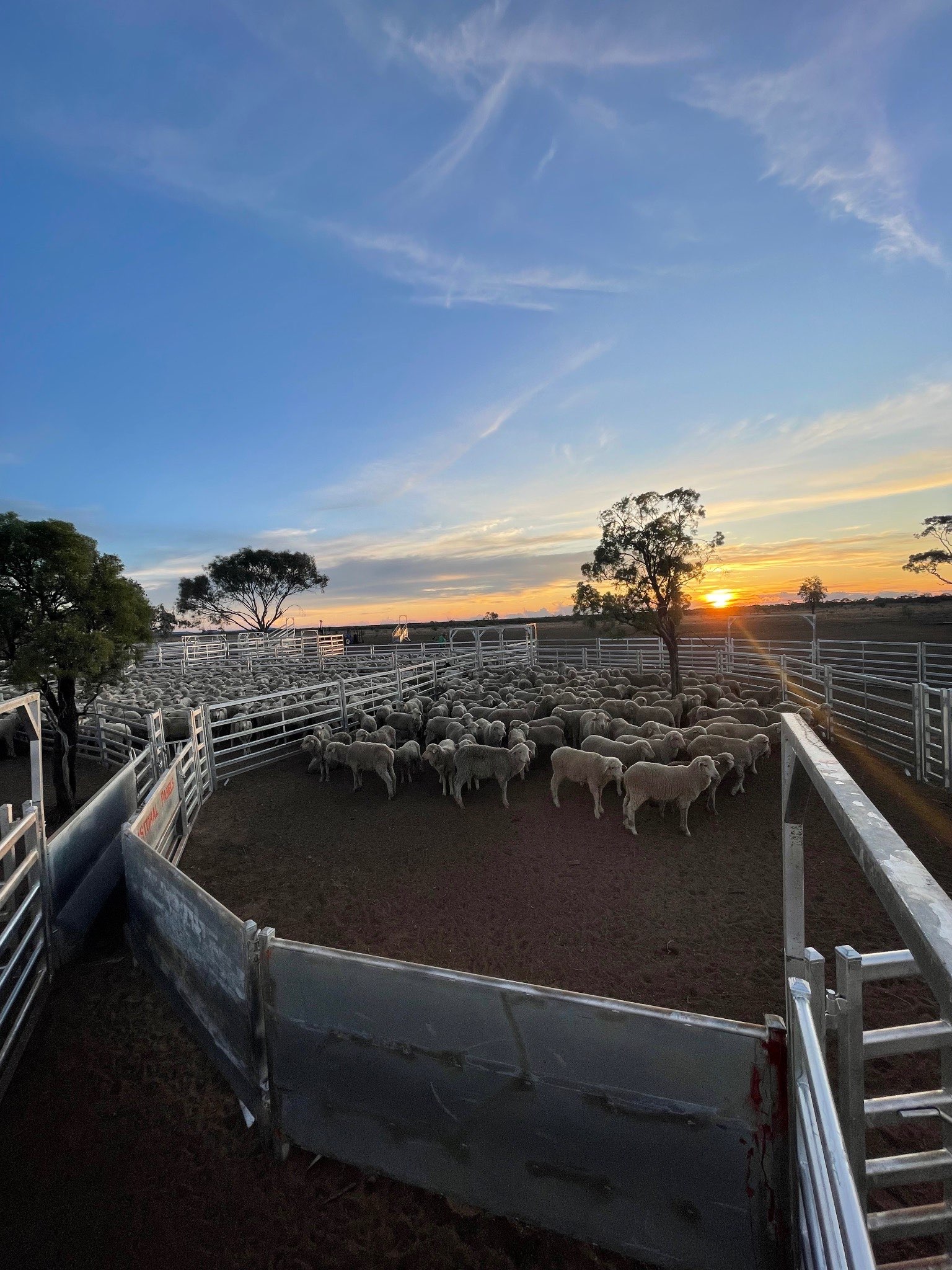 Ag Assist - Jasmine Hall