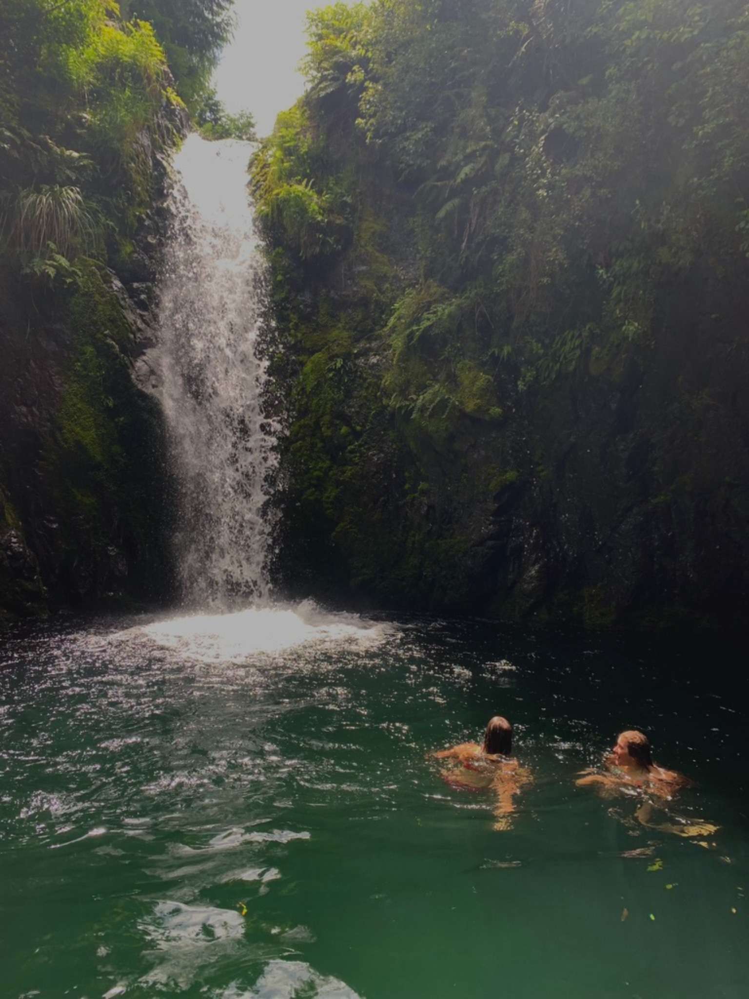 Ag Assist - Zara Stewart