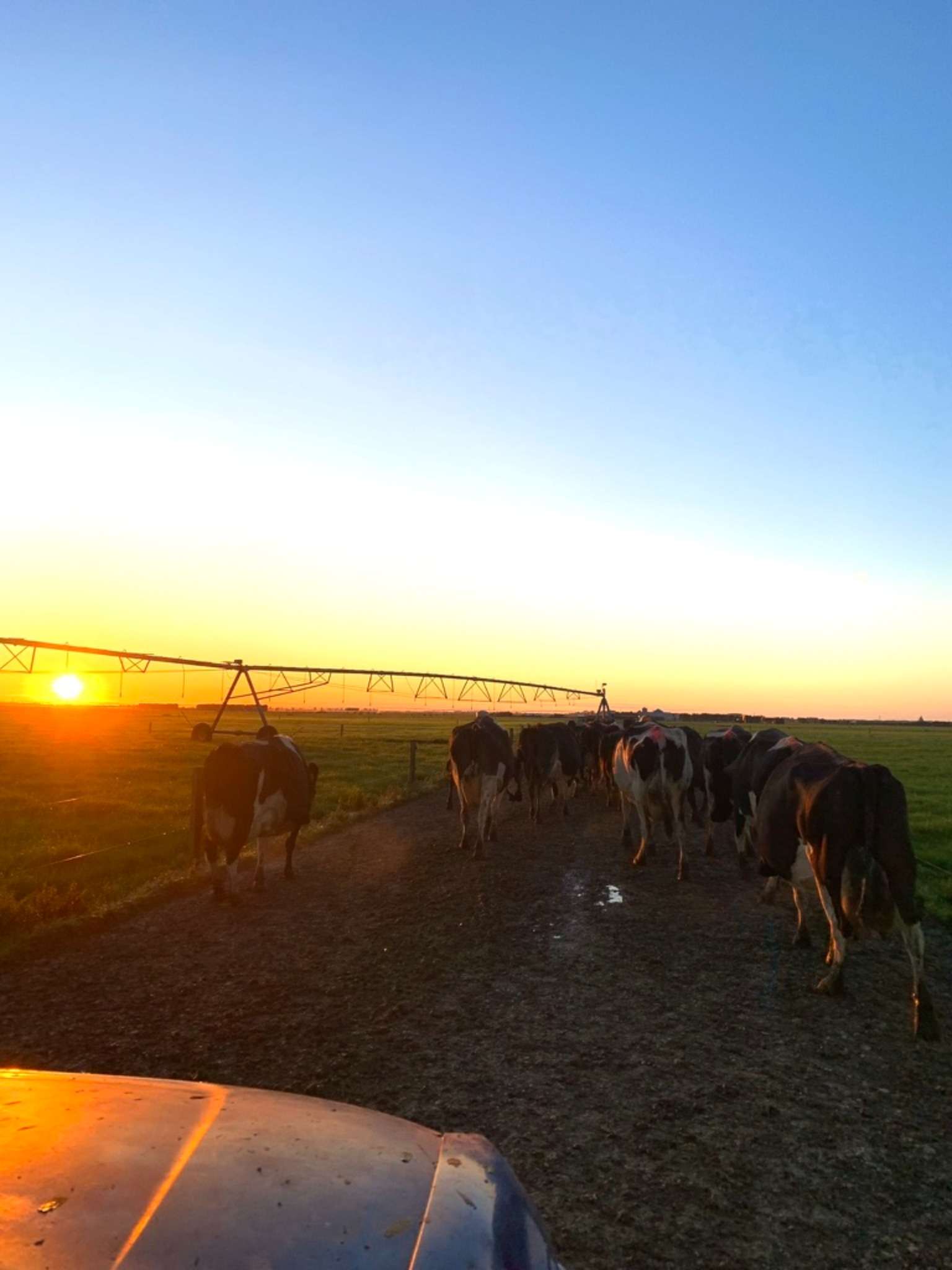 Ag Assist - Zara Stewart