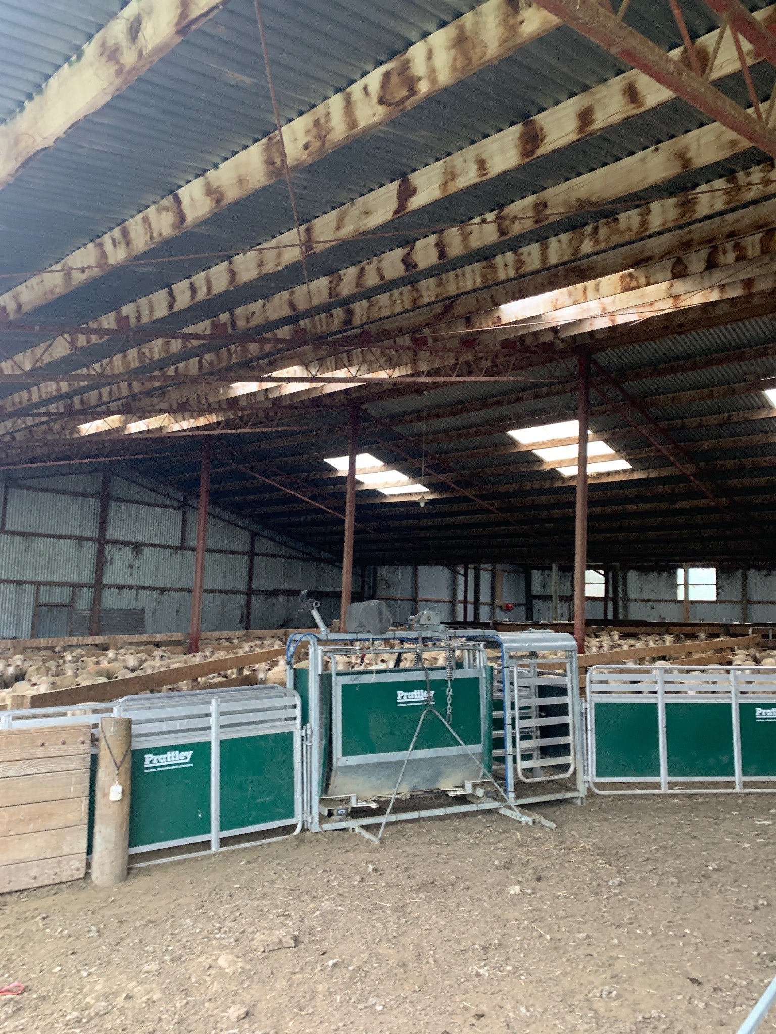 Ag Assist - Eva Macdougall