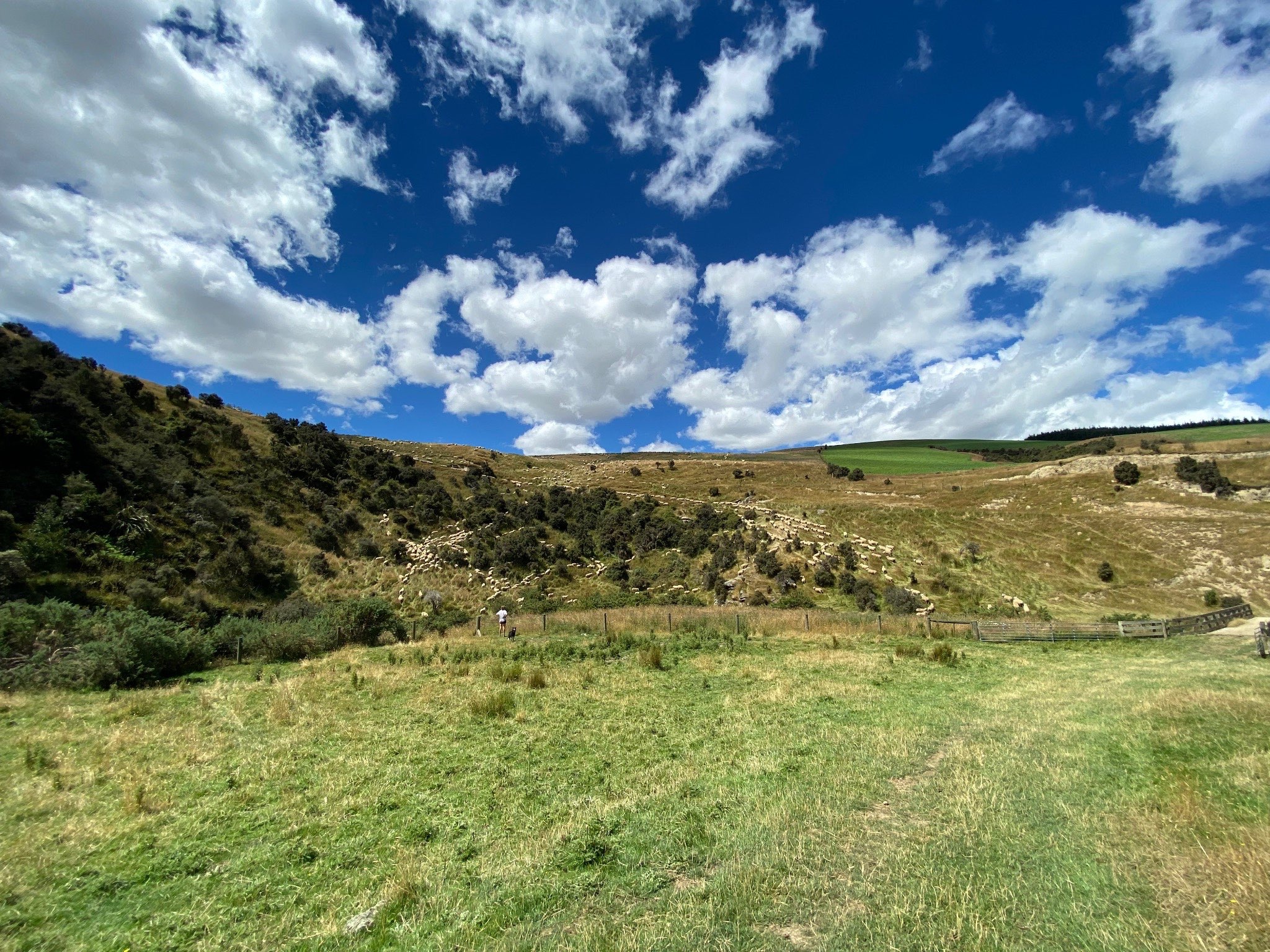 Ag Assist - Eva Macdougall