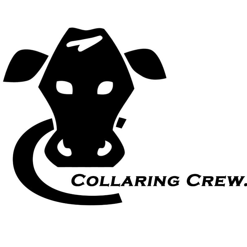 Collaring Crew