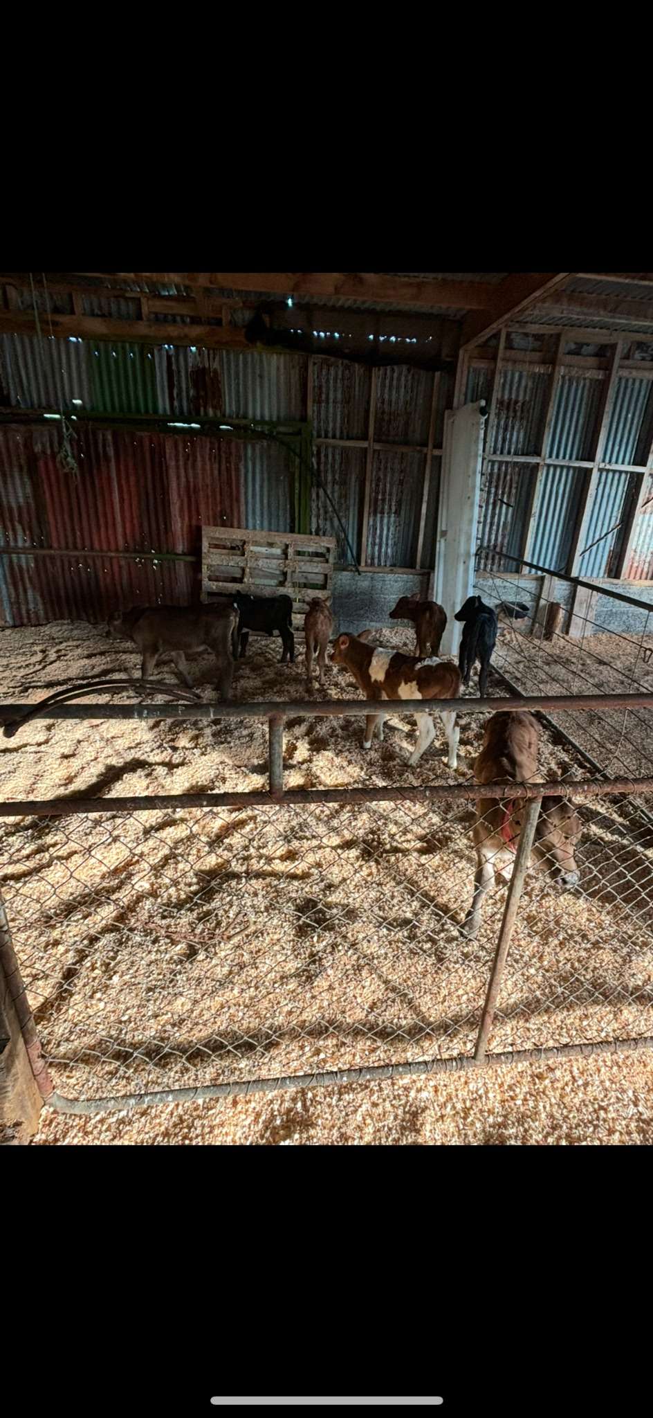 Ag Assist - Leila Benton